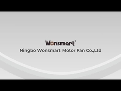 Vídeo da introdução da empresa